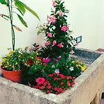 Nocleg ze śniadaniem A Casa Tu Zi Melu 4*