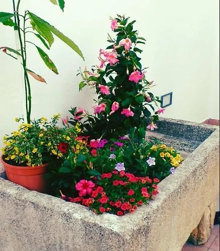 Bed & Breakfast A Casa Tu Zi Melu 4*