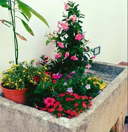 Bed & Breakfast A Casa Tu Zi Melu *