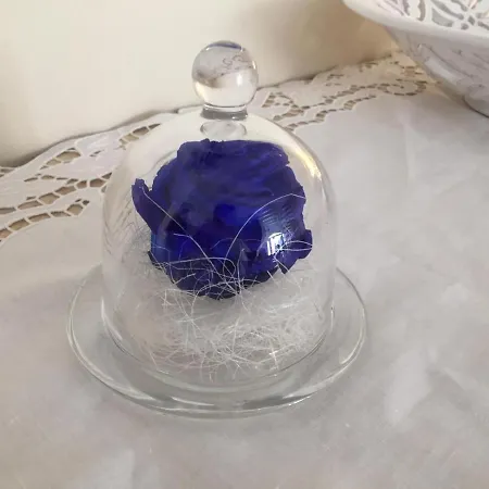 Bed and Breakfast A Casa Tu Zi Melu Felline