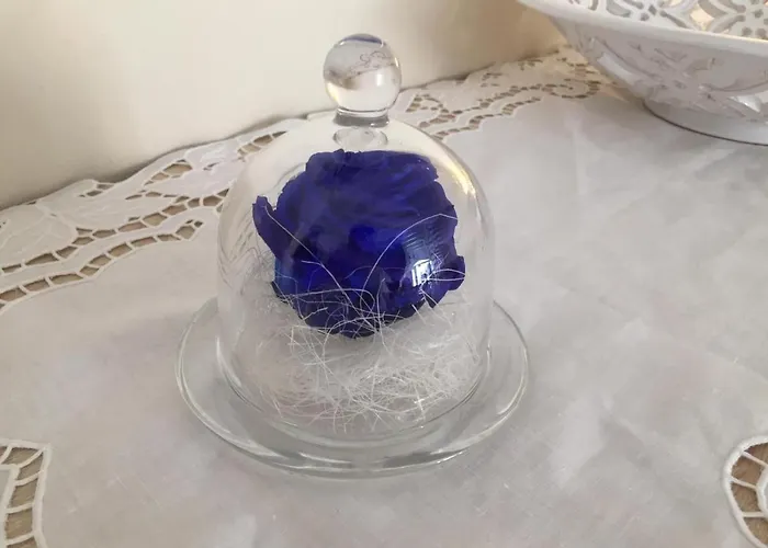 Bed & Breakfast A Casa Tu Zi Melu Felline